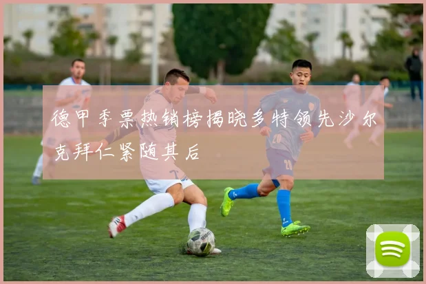 德甲季票热销榜揭晓多特领先沙尔克拜仁紧随其后